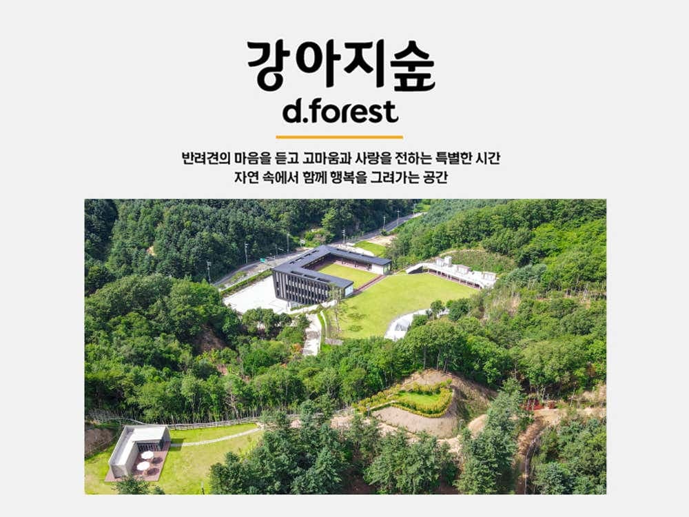 강아지숲